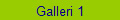 Galleri 1